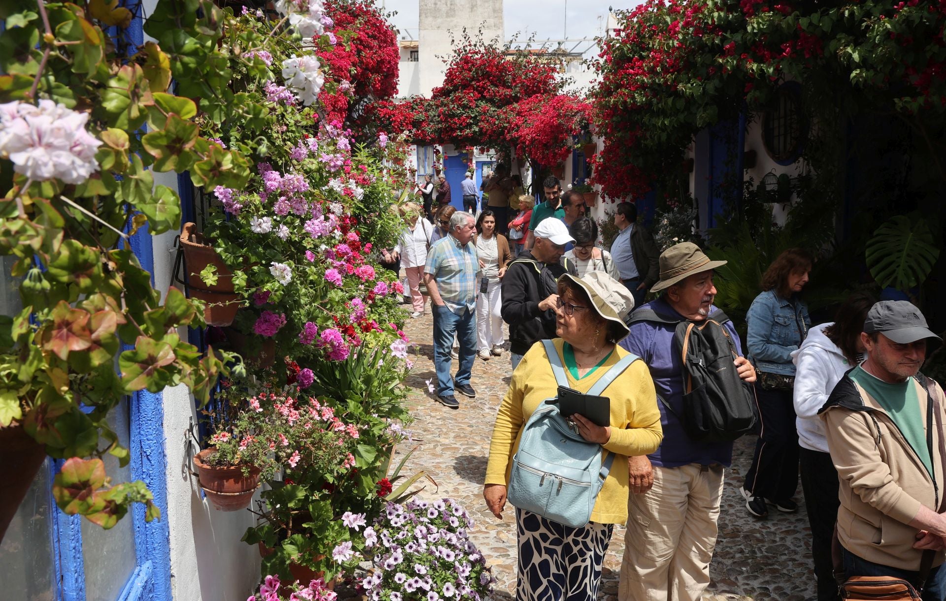 El patio de Marroquíes, 6 en Córdoba, en imágenes