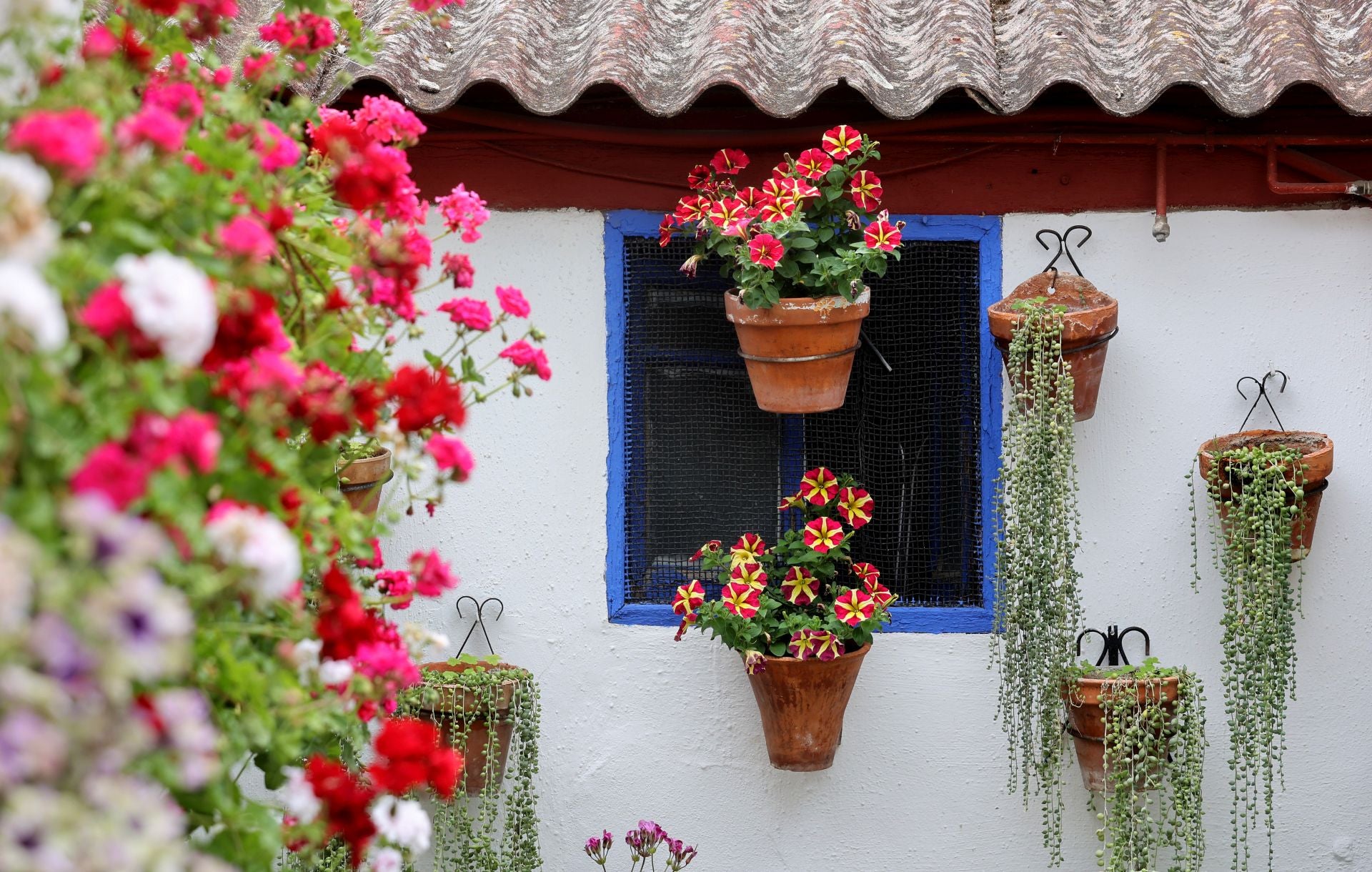 El patio de Marroquíes, 6 en Córdoba, en imágenes