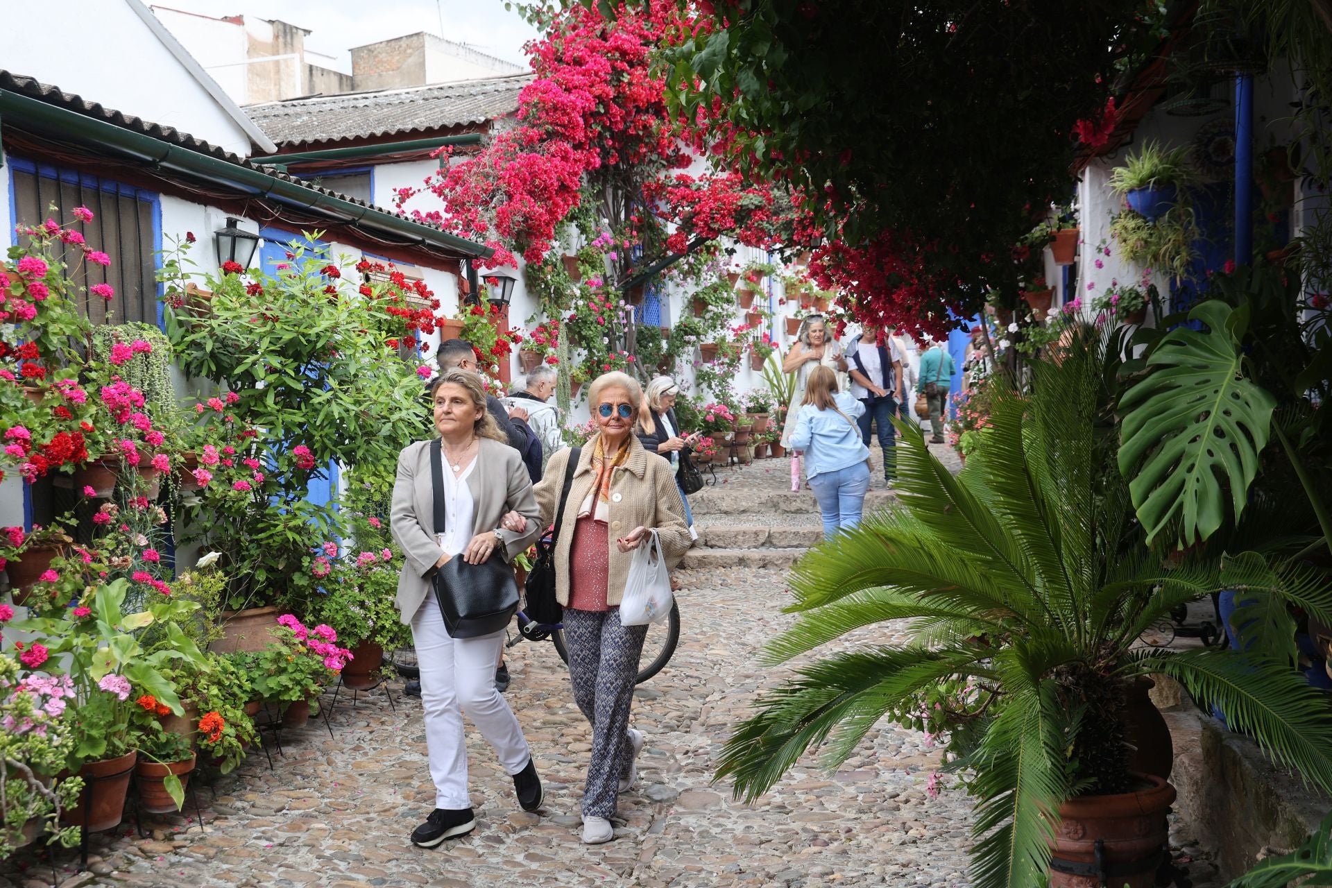 El patio de Marroquíes, 6 en Córdoba, en imágenes