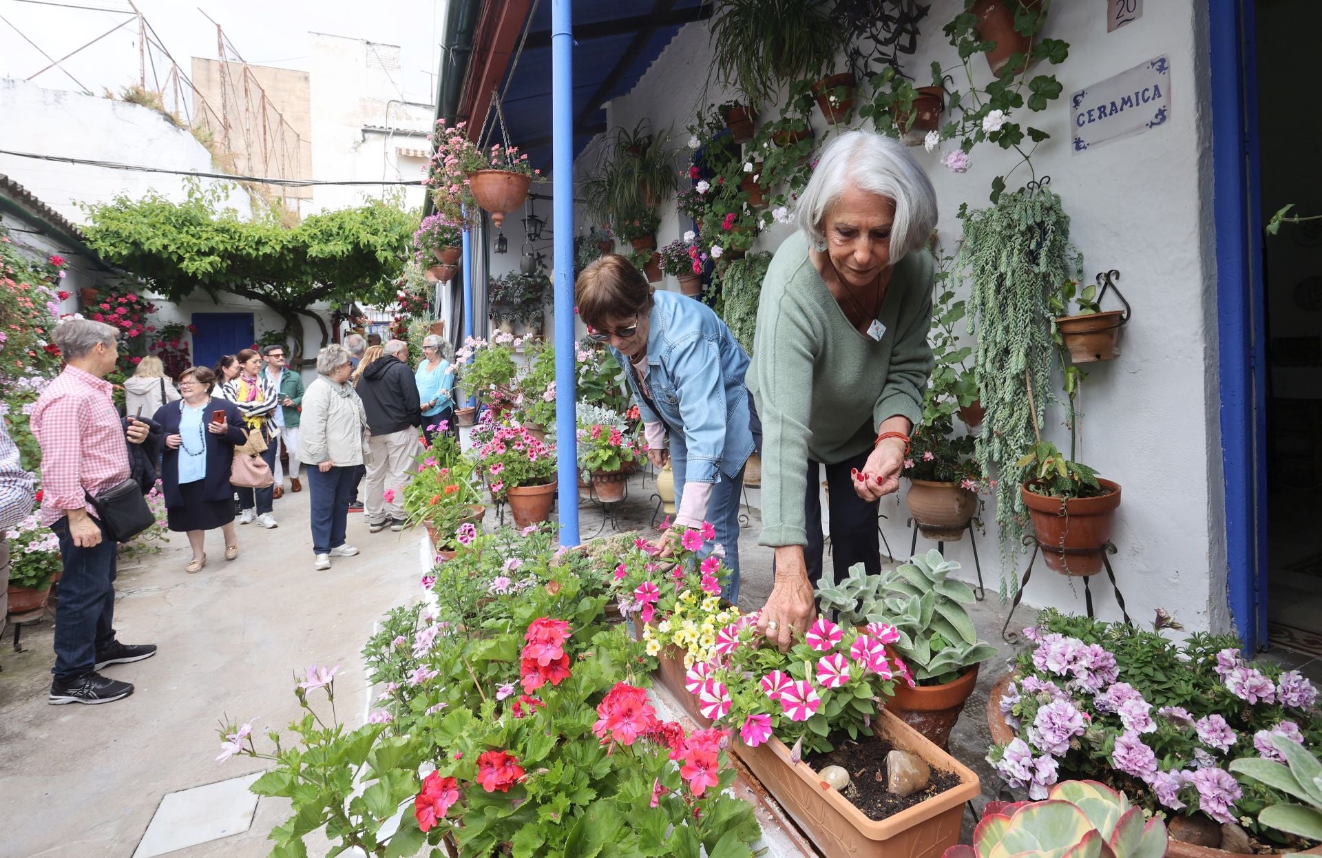 El patio de Marroquíes, 6 en Córdoba, en imágenes