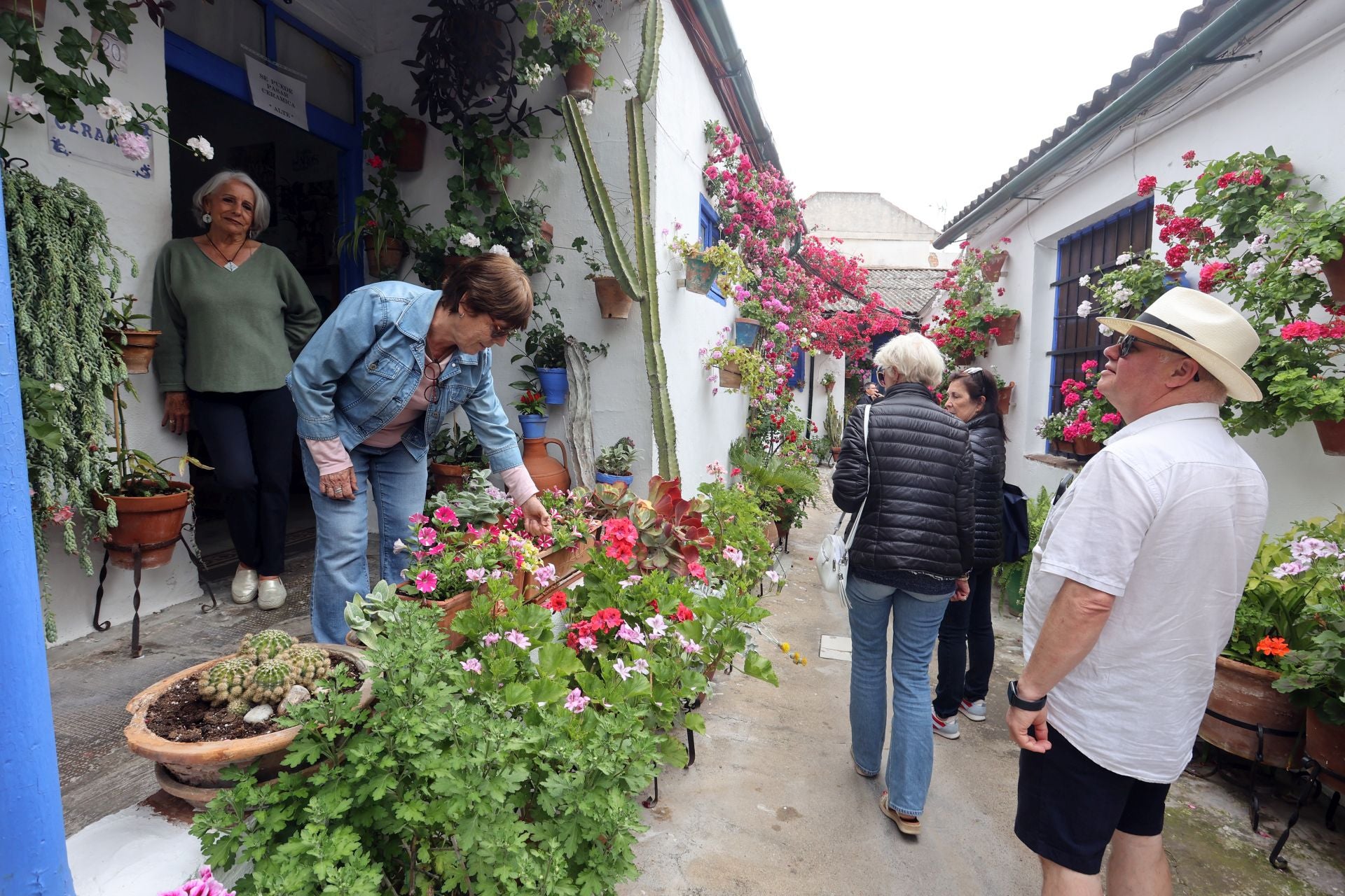 El patio de Marroquíes, 6 en Córdoba, en imágenes