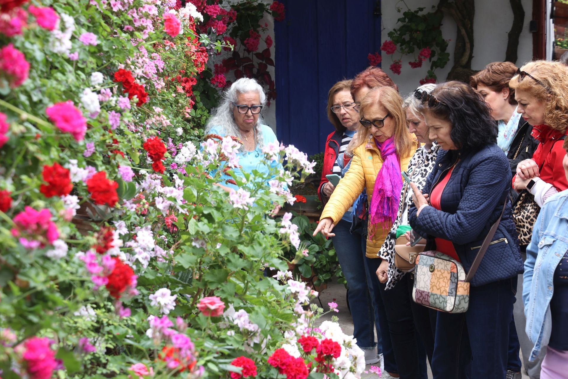 El patio de Marroquíes, 6 en Córdoba, en imágenes
