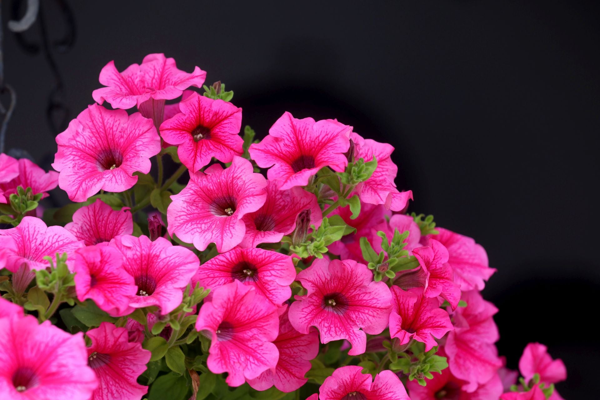 El patio de Marroquíes, 6 en Córdoba, en imágenes