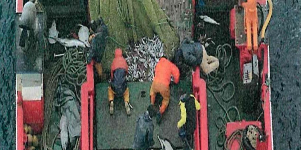 Un vídeo 'pesca' a un barco gallego que ocultó la captura accidental de una veintena de delfines y los devolvió muertos al mar