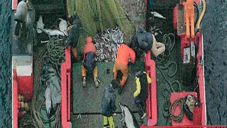 Un vídeo 'pesca' a un barco gallego que ocultó la captura accidental de una veintena de delfines y los devolvió muertos al mar