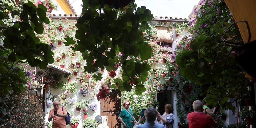 Lo que dicen los dueños de los patios de Córdoba de sus visitantes: «Se van con el vello de punta»