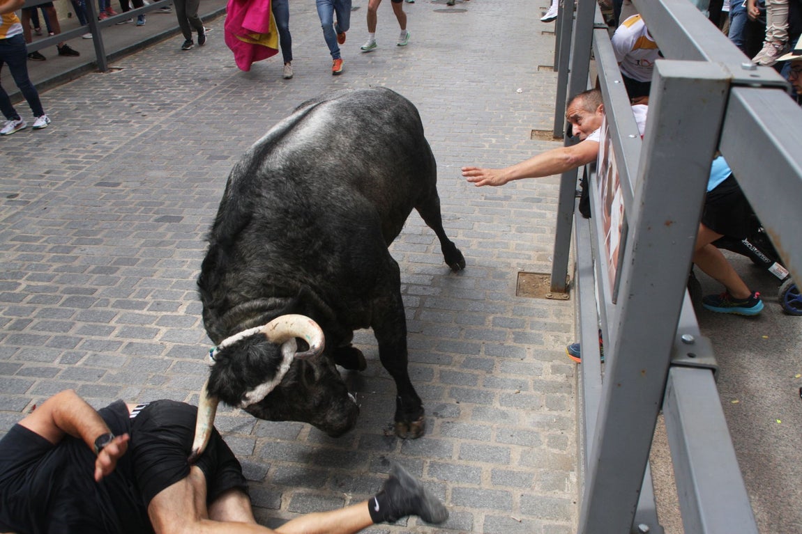 La brutal cogida en el Toro de Cuerda de Carcabuey, en imágenes