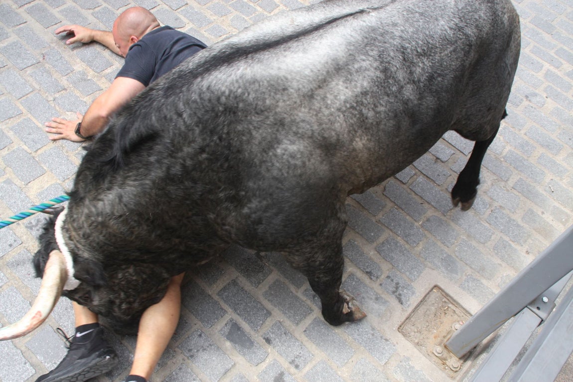 La brutal cogida en el Toro de Cuerda de Carcabuey, en imágenes