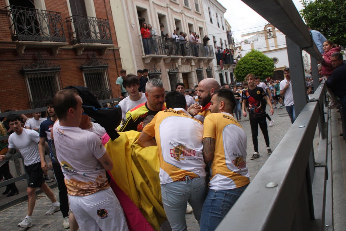 La brutal cogida en el Toro de Cuerda de Carcabuey, en imágenes
