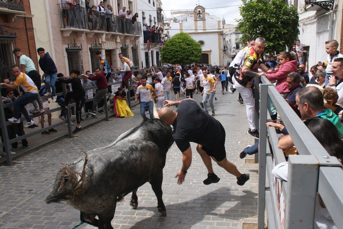 La brutal cogida en el Toro de Cuerda de Carcabuey, en imágenes