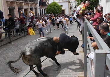 Toro de Cuerda de Carcabuey: uno de los participantes, herido grave tras sufrir una cornada en el costado