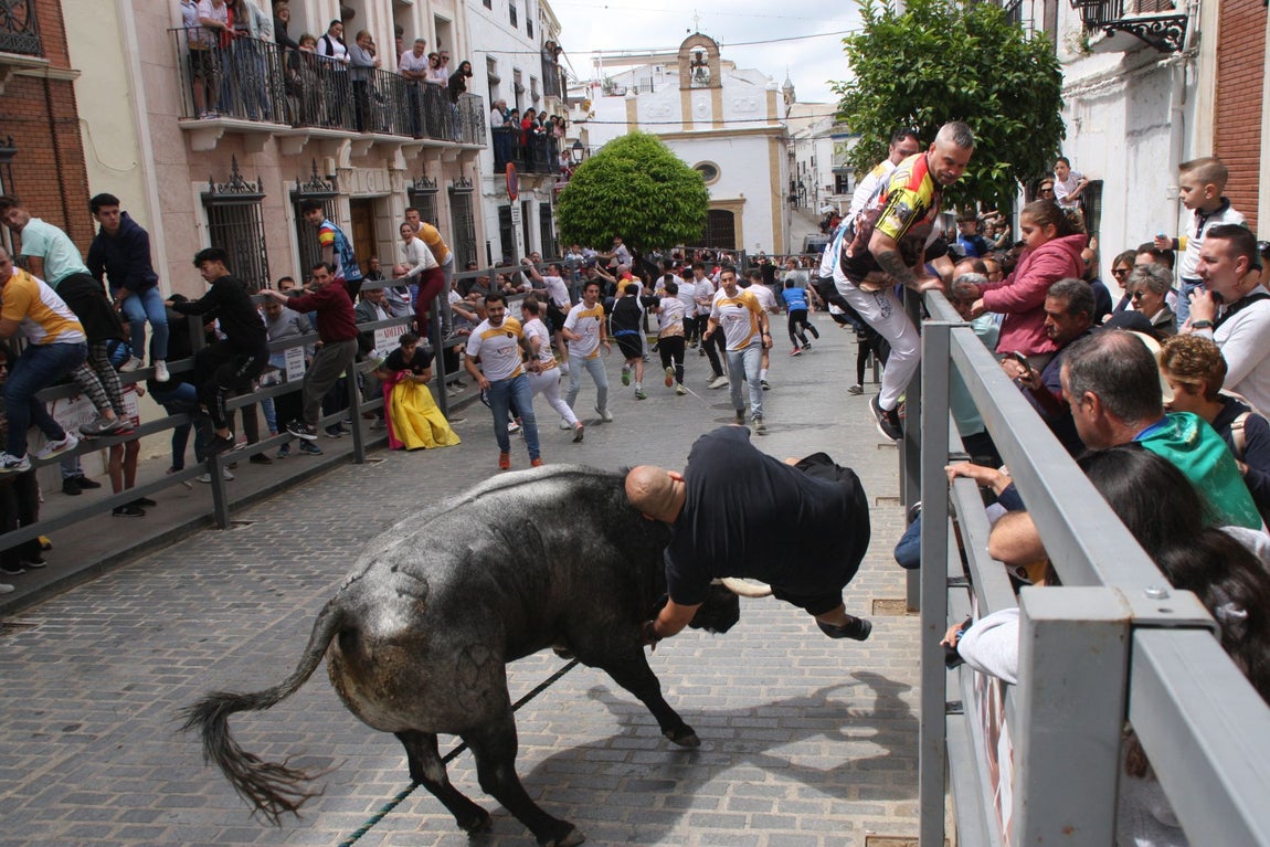 La brutal cogida en el Toro de Cuerda de Carcabuey, en imágenes