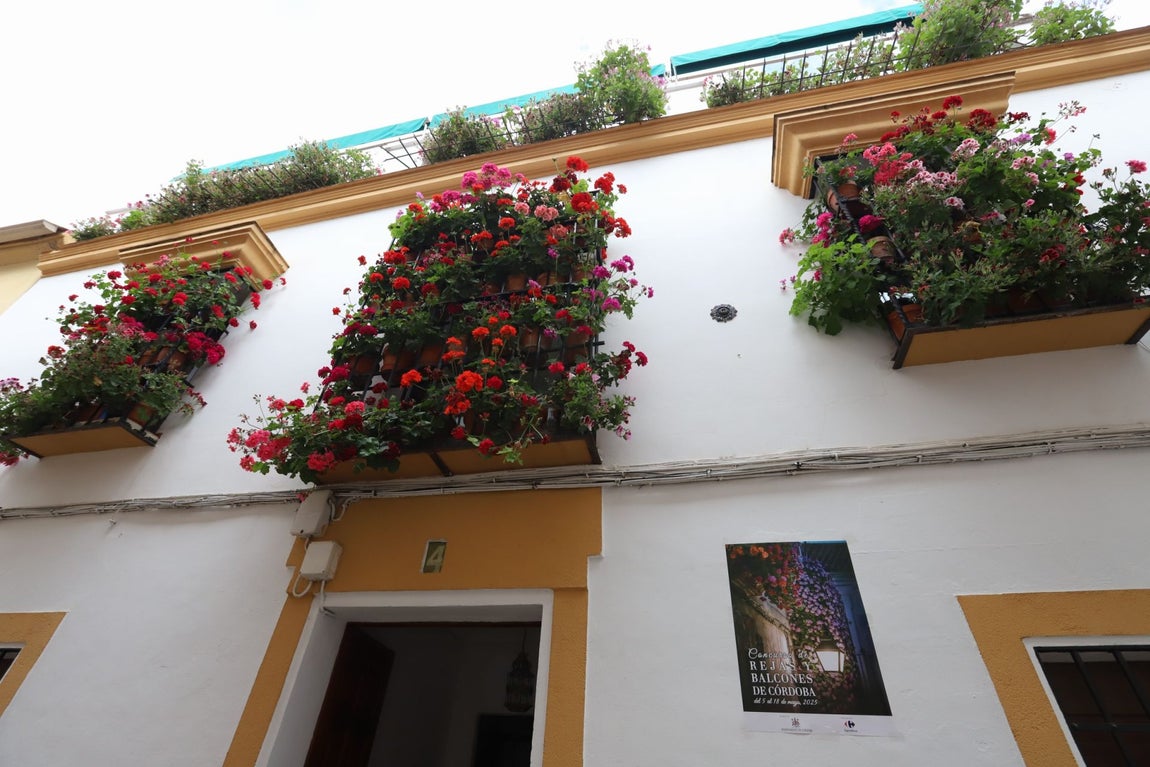 El imágenes, las Rejas y Balcones ganadoras del concurso 2025