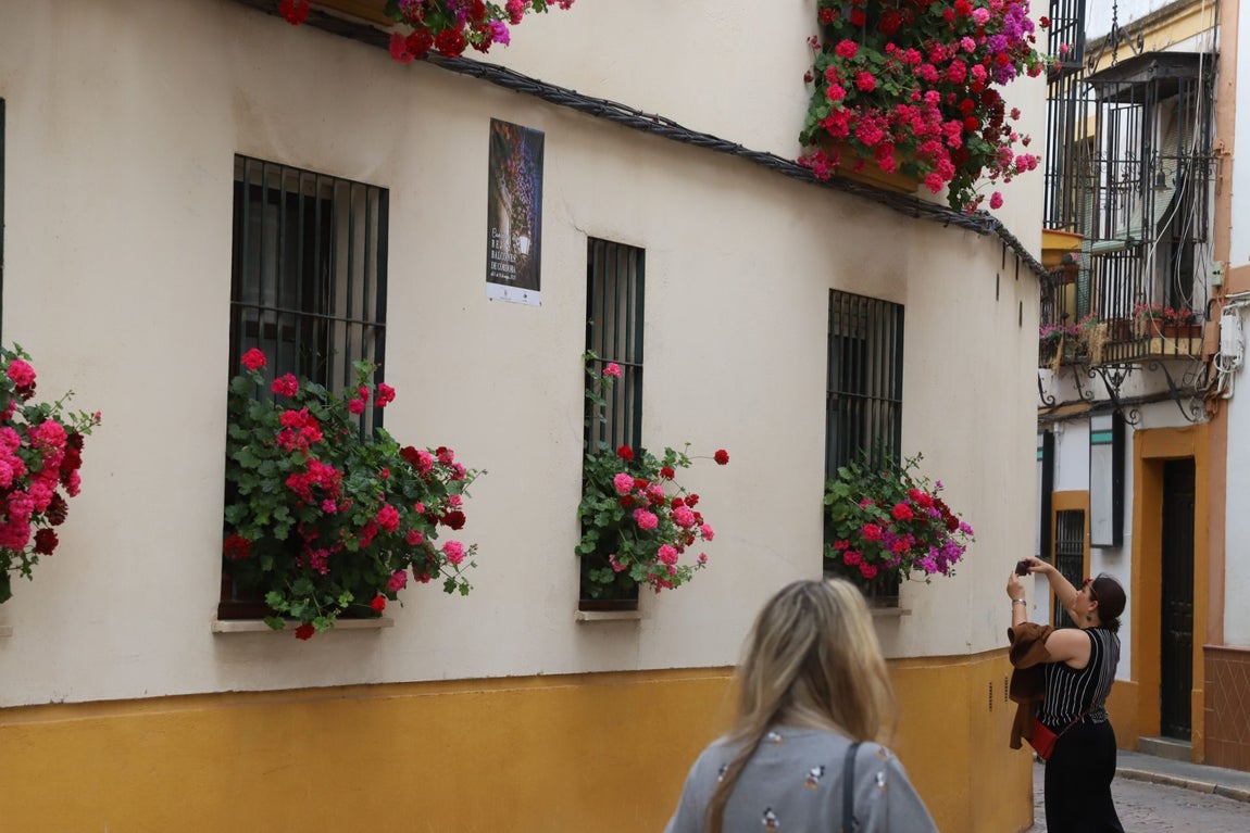 El imágenes, las Rejas y Balcones ganadoras del concurso 2025