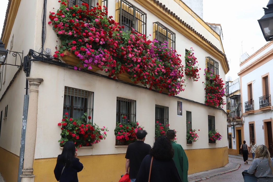 El imágenes, las Rejas y Balcones ganadoras del concurso 2025
