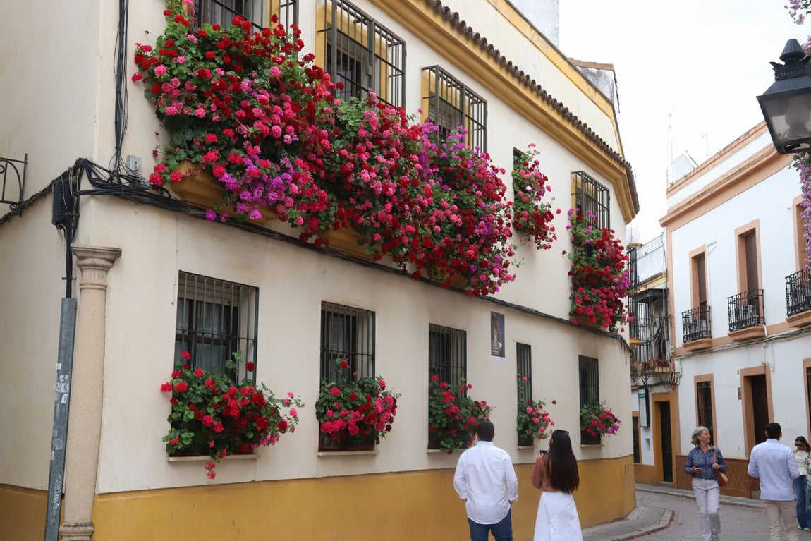 El imágenes, las Rejas y Balcones ganadoras del concurso 2025