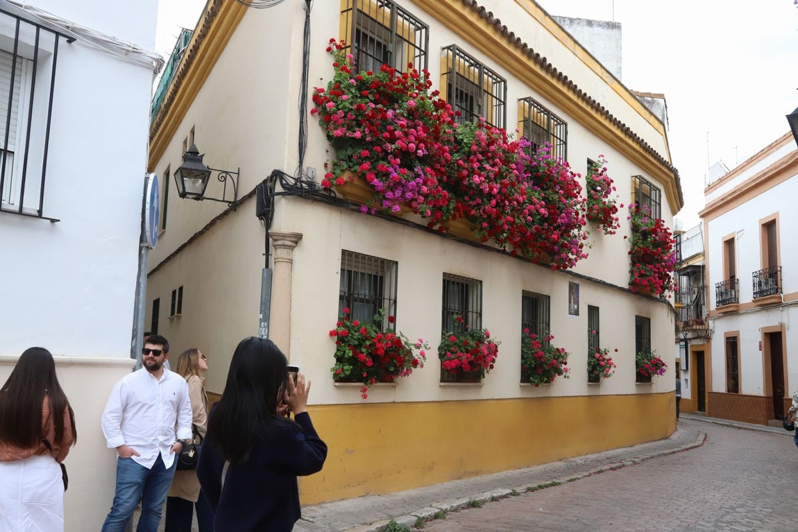 El imágenes, las Rejas y Balcones ganadoras del concurso 2025