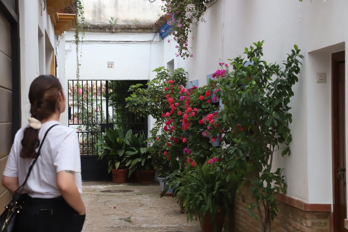 El imágenes, las Rejas y Balcones ganadoras del concurso 2025