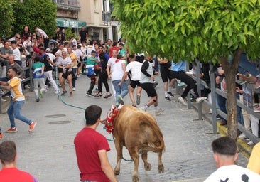 Carcabuey salda con un gran éxito el 400 aniversario del Toro de Cuerda