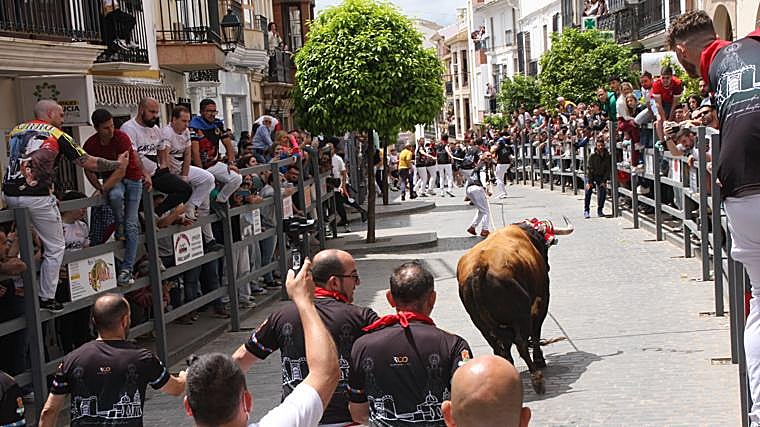 Carcabuey ha vuelto a vibrar este sábado con el Toro de Cuerda