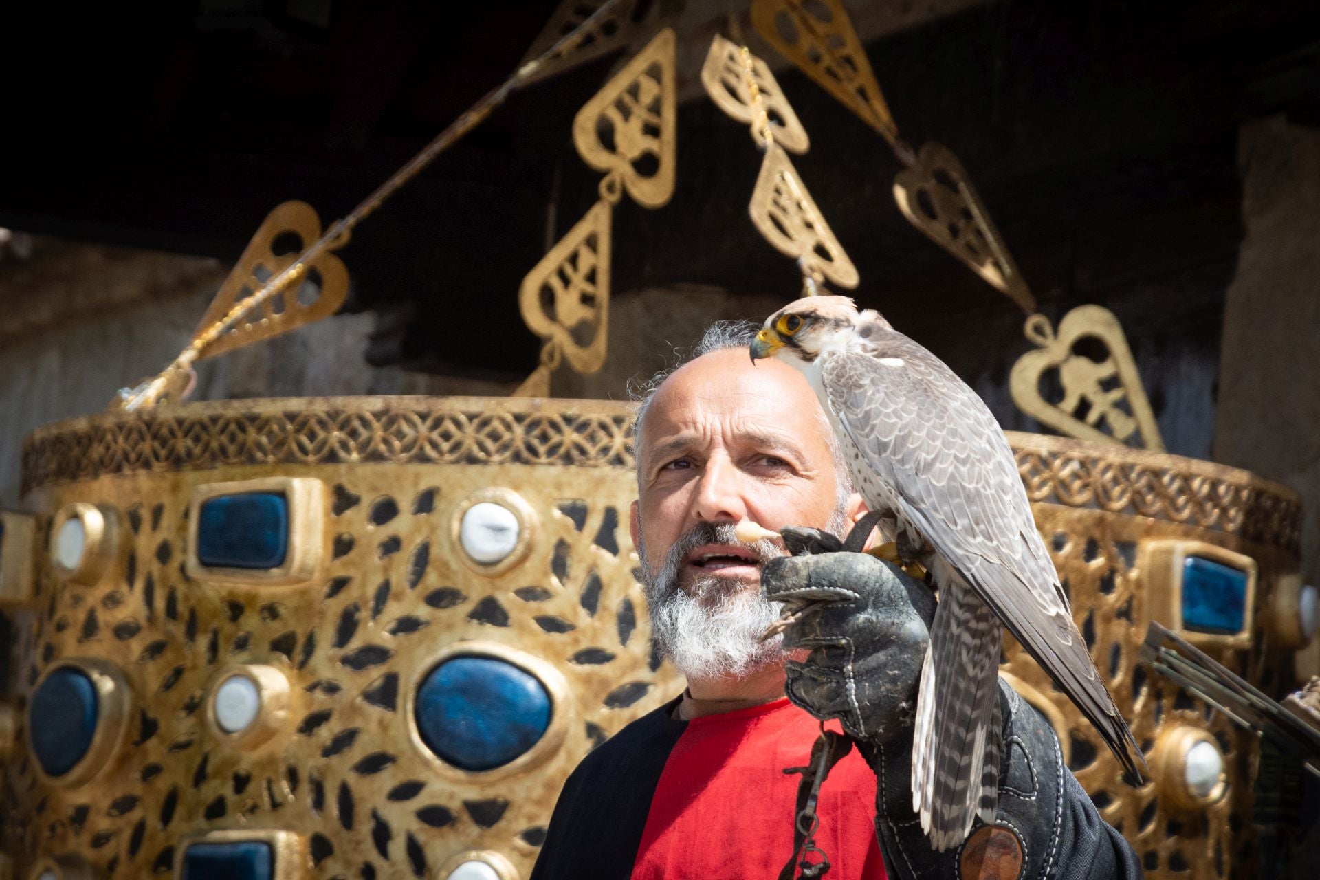 Las jornadas visigodas de Guadamur, en imágenes