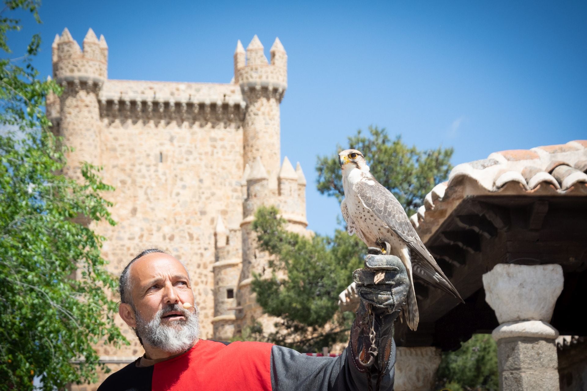 Las jornadas visigodas de Guadamur, en imágenes