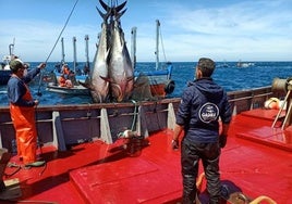 La huelga de inspectores de pesca provoca capturas descontroladas y el aumento del mercado negro