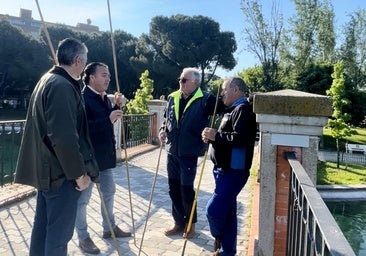 Regresan los patos al estanque de La Alameda de Talavera de la Reina tras su acondicionamiento