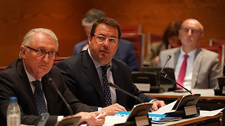 El senador Agustín Almodóbar, en la Comisión de Industria y Turismo en el Senado