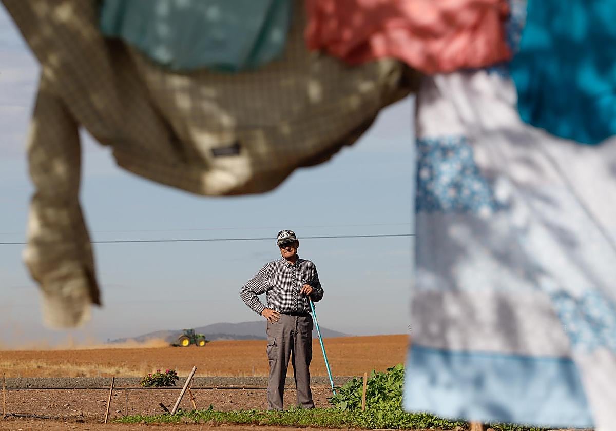 Una pesrona mayor trabaja en su huerto en Peñarroya-Pueblonuevo