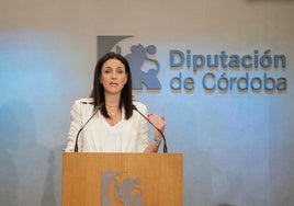 La Diputación de Córdoba dedica 800.000 euros a digitalizar 30.000 cajas de archivos municipales y propios