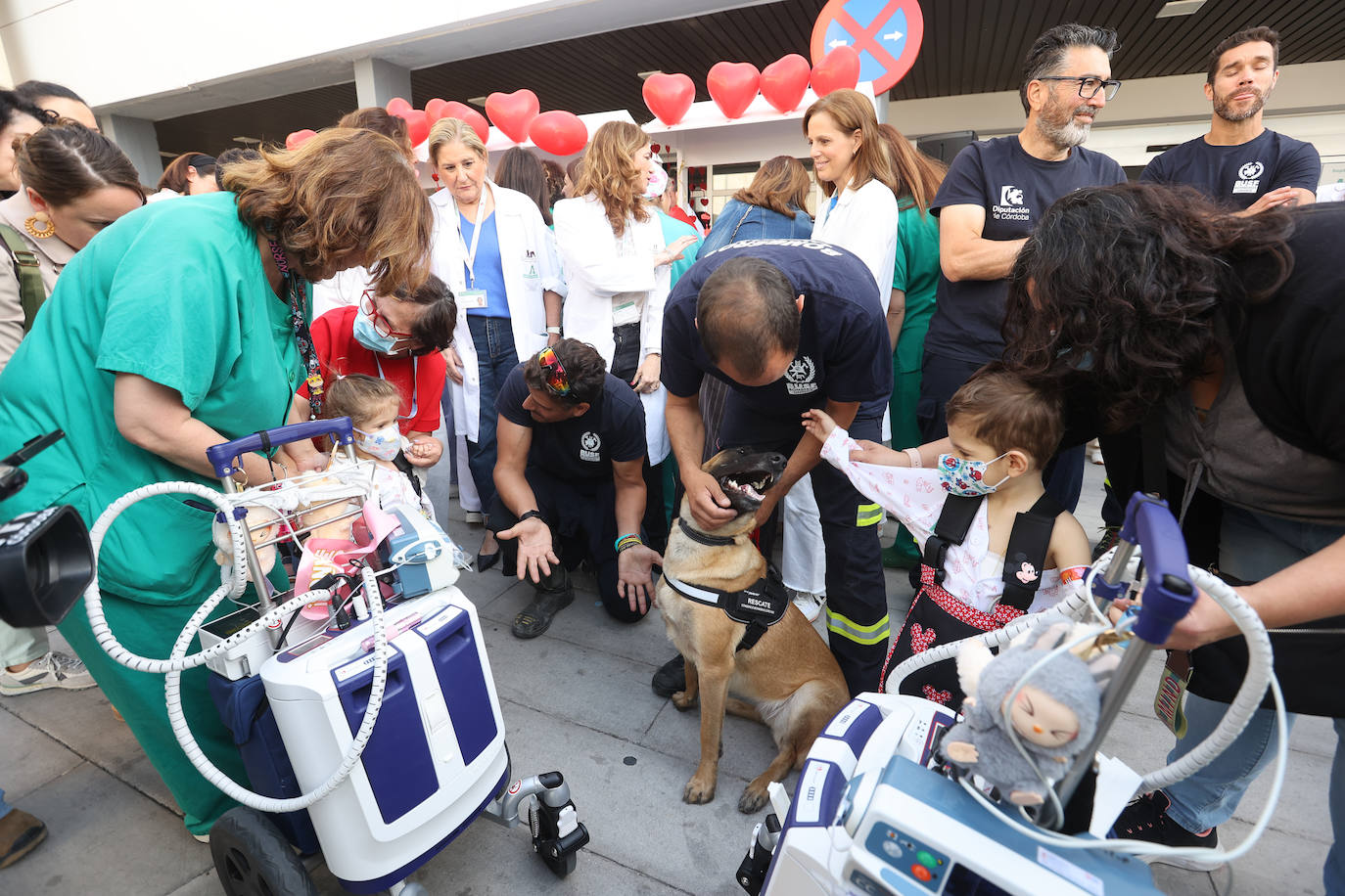 El Día del Niño Hospitalizado en el Reina Sofía, en imágenes
