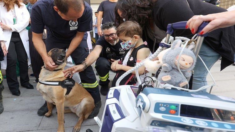 El Hospital Reina Sofía de Córdoba suma cada año a casi 1.600 niños ingresados
