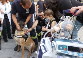 El Hospital Reina Sofía de Córdoba suma cada año a casi 1.600 niños ingresados