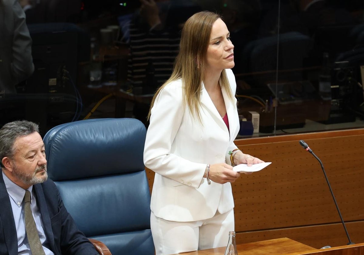 La portavoz de Vox en la Asamblea de Madrid, Isabel Pérez Moñino