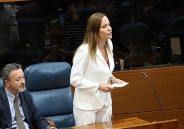 Vox acude al Constitucional contra el «rodillo» del PP en la Comisión Begoña de la Asamblea de Madrid