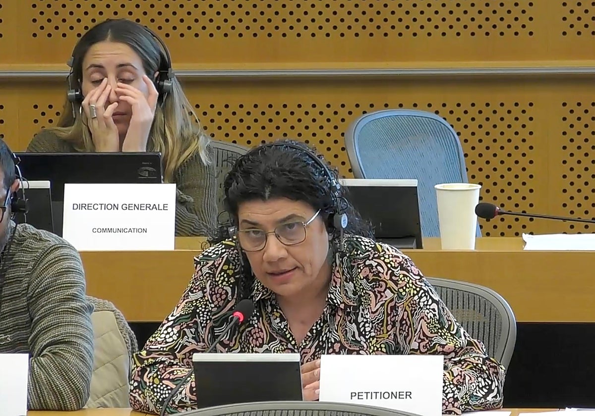 La presidenta de la Asamblea por una Escuela Bilingüe (AEB), Ana Losada, durante su intervención