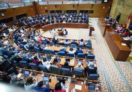 La Asamblea de Madrid da un 'sí' rotundo a los toros y tumba una iniciativa de Más Madrid para suprimir todas las subvenciones