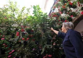 Isabel Luque muestra las hojas de la datura, de la que puede salir la burundanga