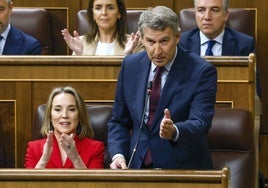 El líder del PP, Alberto Núñez Feijóo, pide la dimisión de Pedro Sánchez en la sesión de control al Gobierno