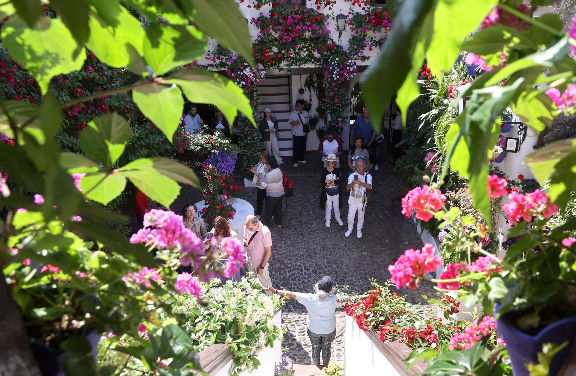 Un paseo por los patios más clásicos de Córdoba, en imágenes
