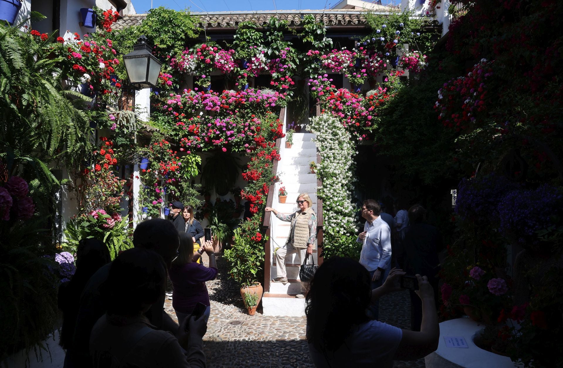 Un paseo por los patios más clásicos de Córdoba, en imágenes
