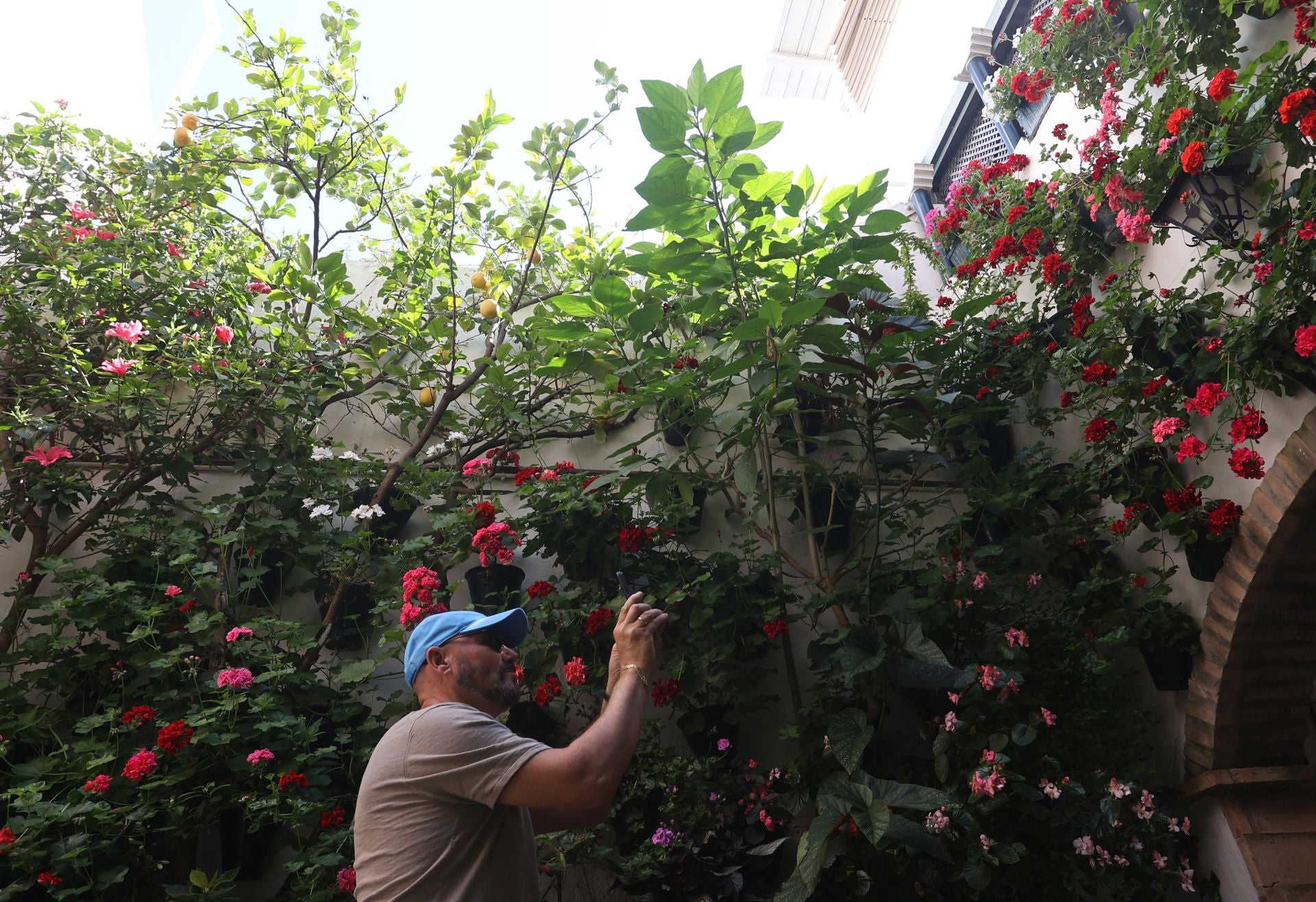 Un paseo por los patios más clásicos de Córdoba, en imágenes