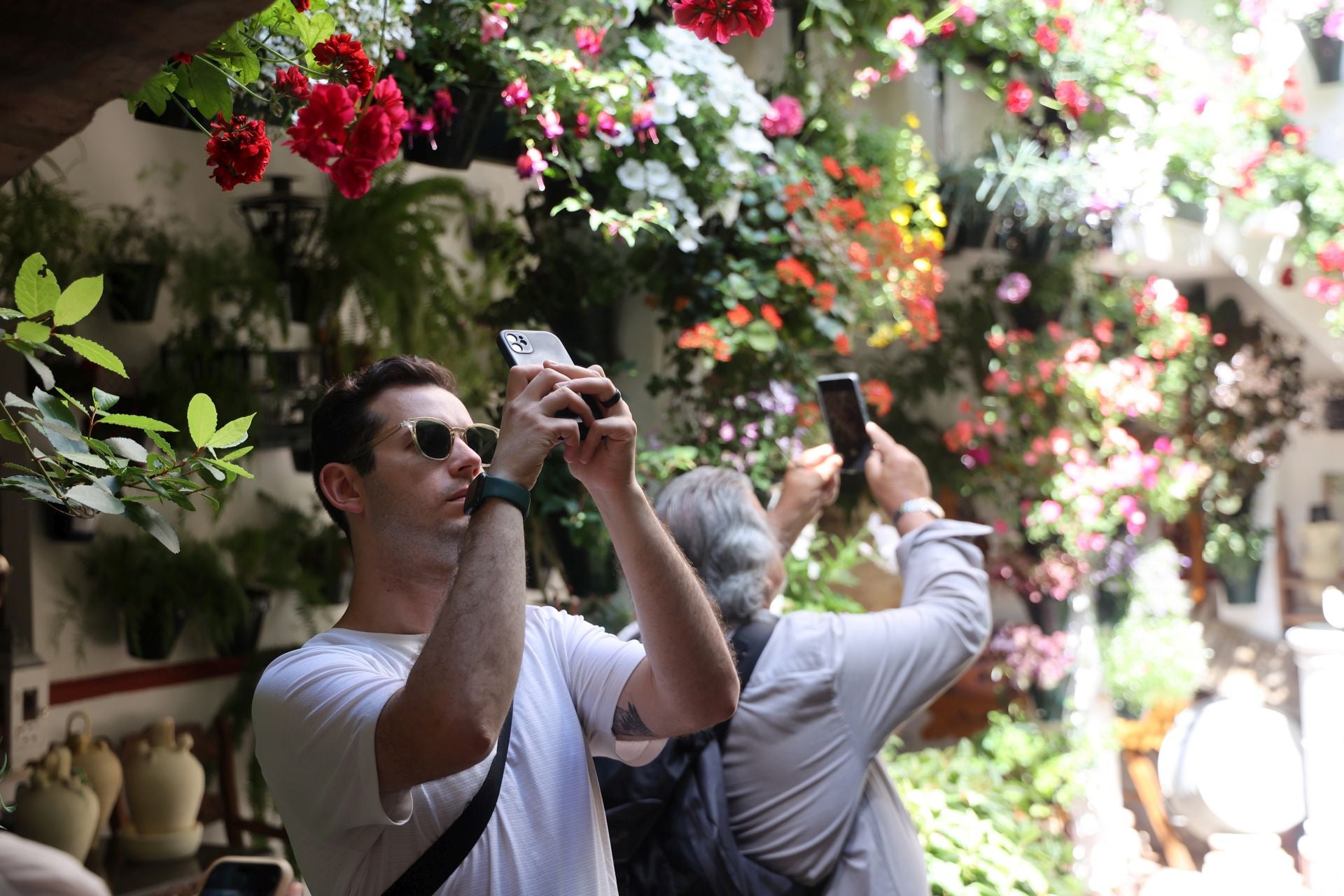 Un paseo por los patios más clásicos de Córdoba, en imágenes