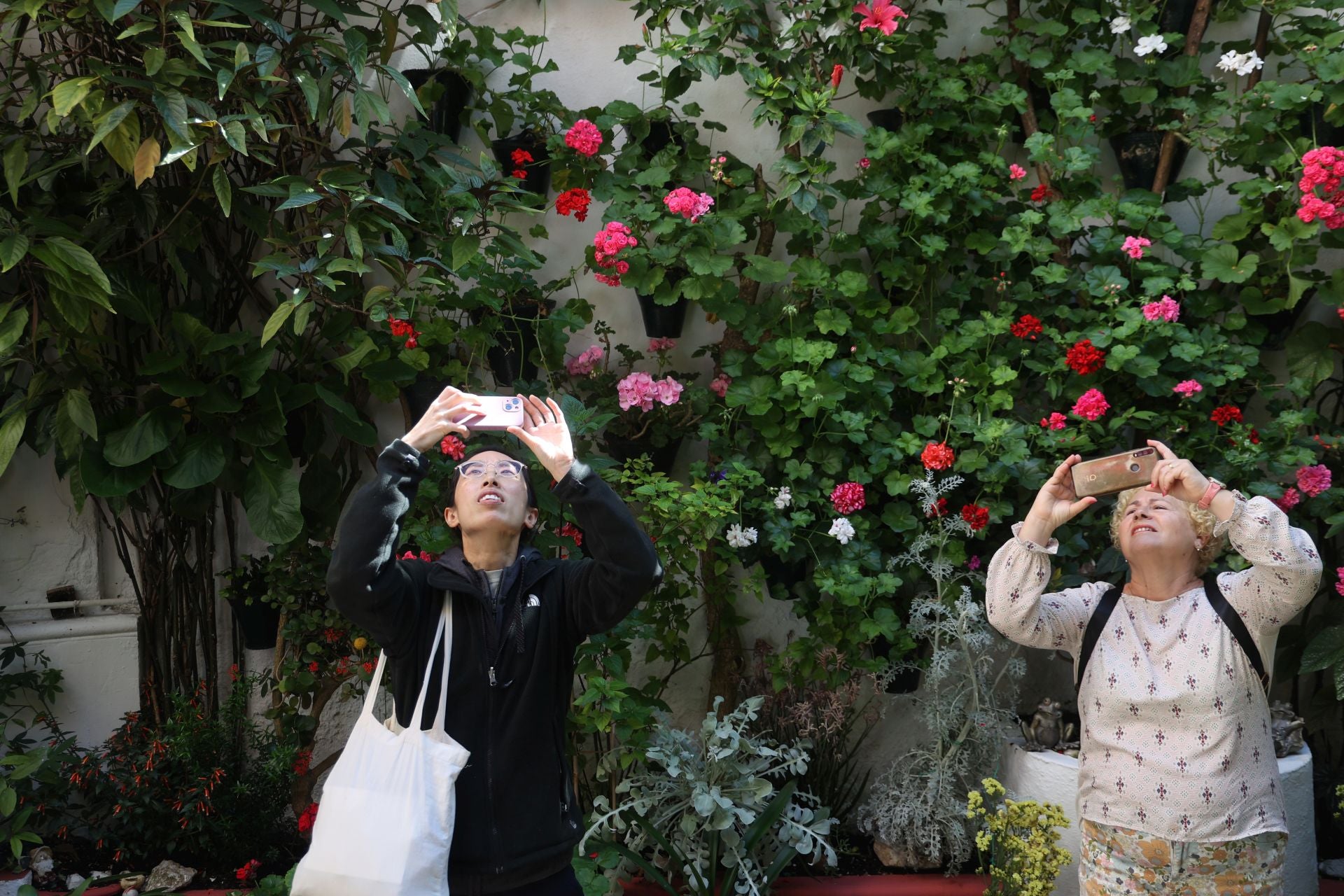 Un paseo por los patios más clásicos de Córdoba, en imágenes