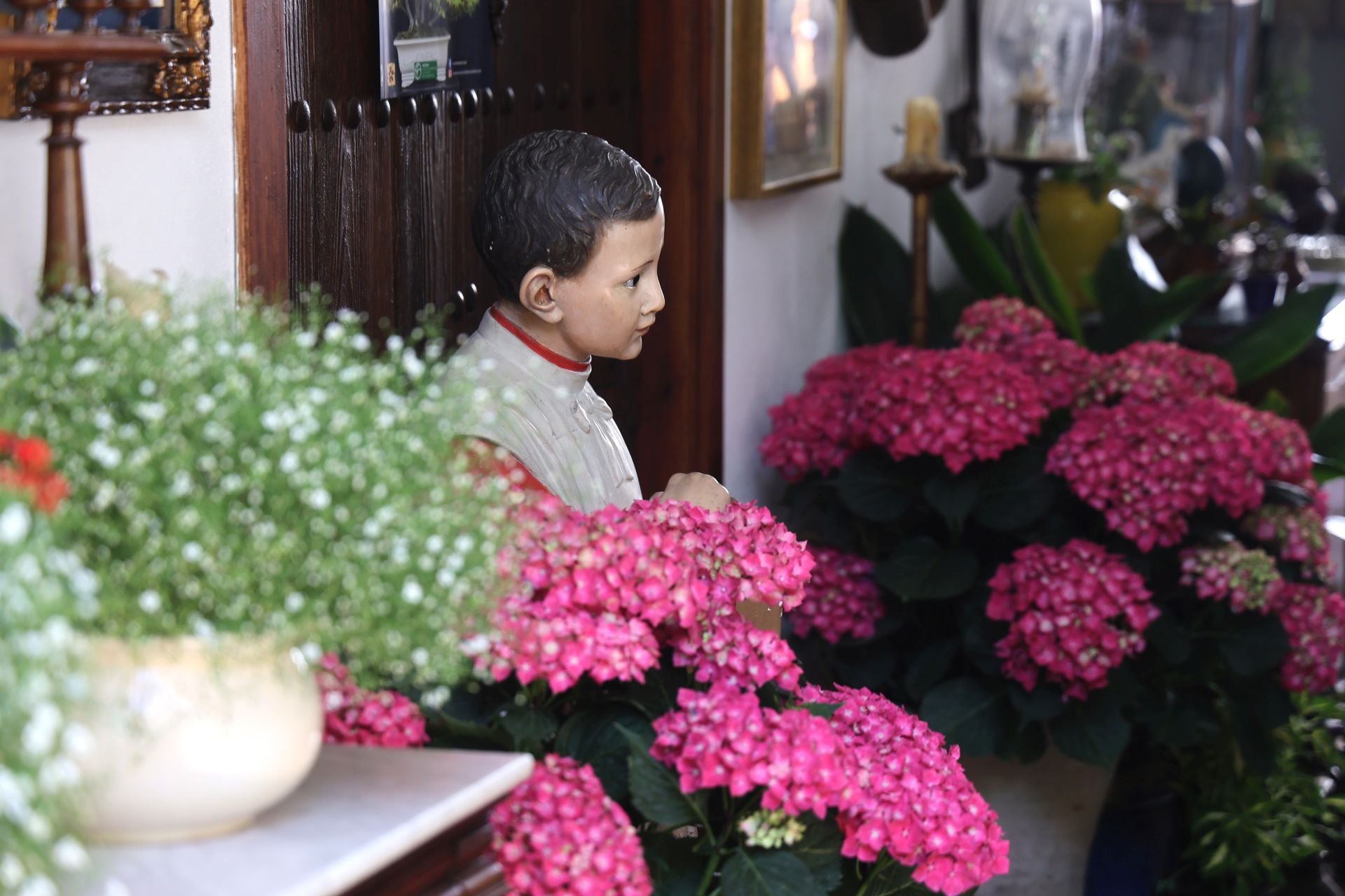 Un paseo por los patios más clásicos de Córdoba, en imágenes