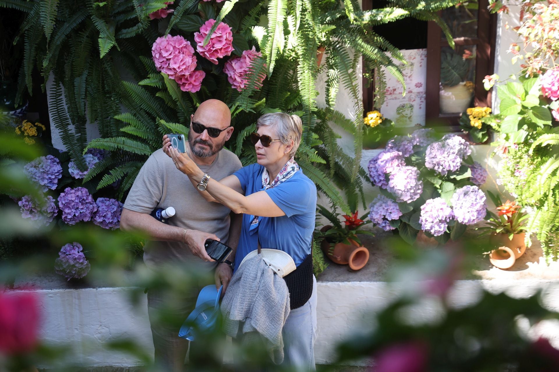 Un paseo por los patios más clásicos de Córdoba, en imágenes
