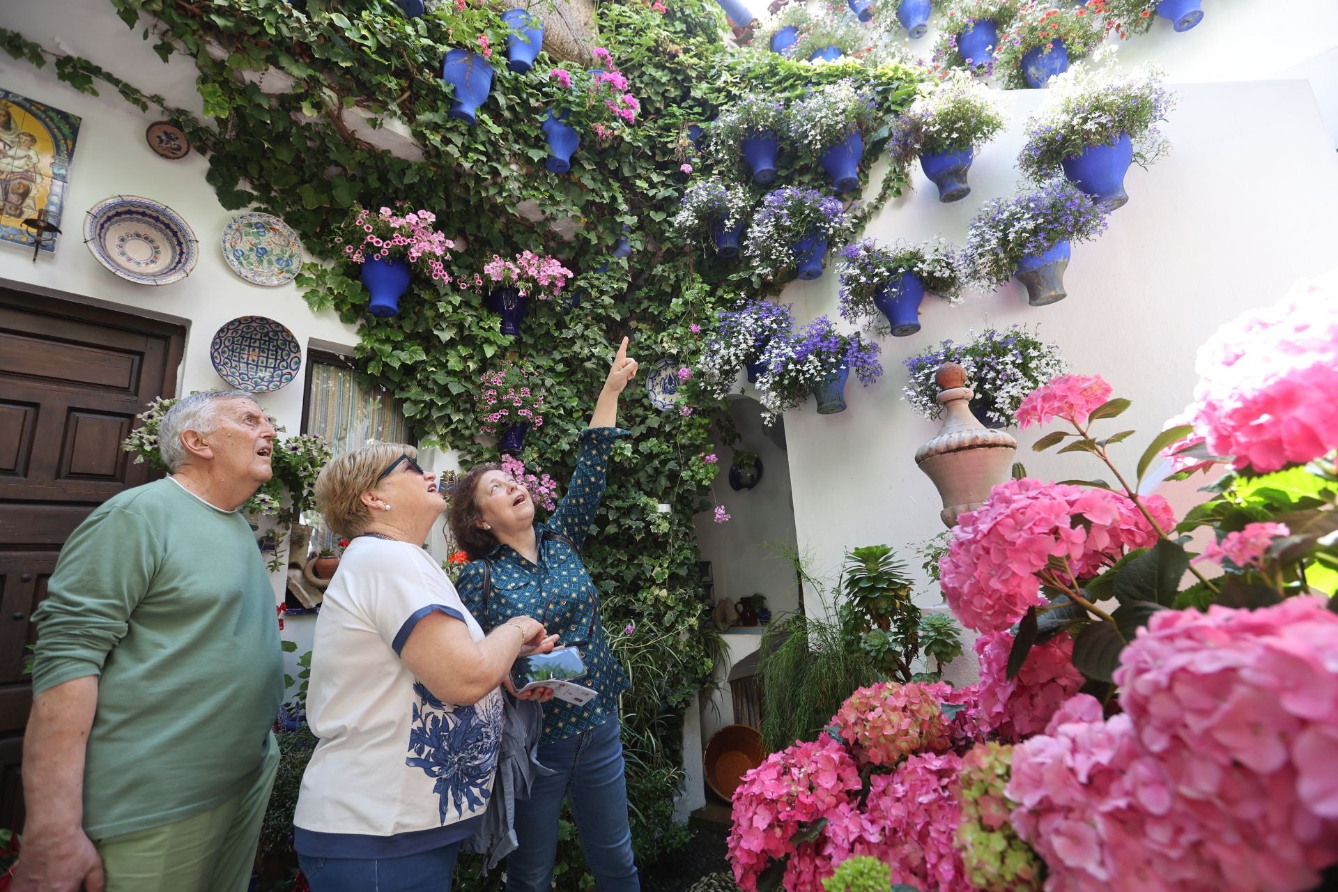 Un paseo por los patios más clásicos de Córdoba, en imágenes