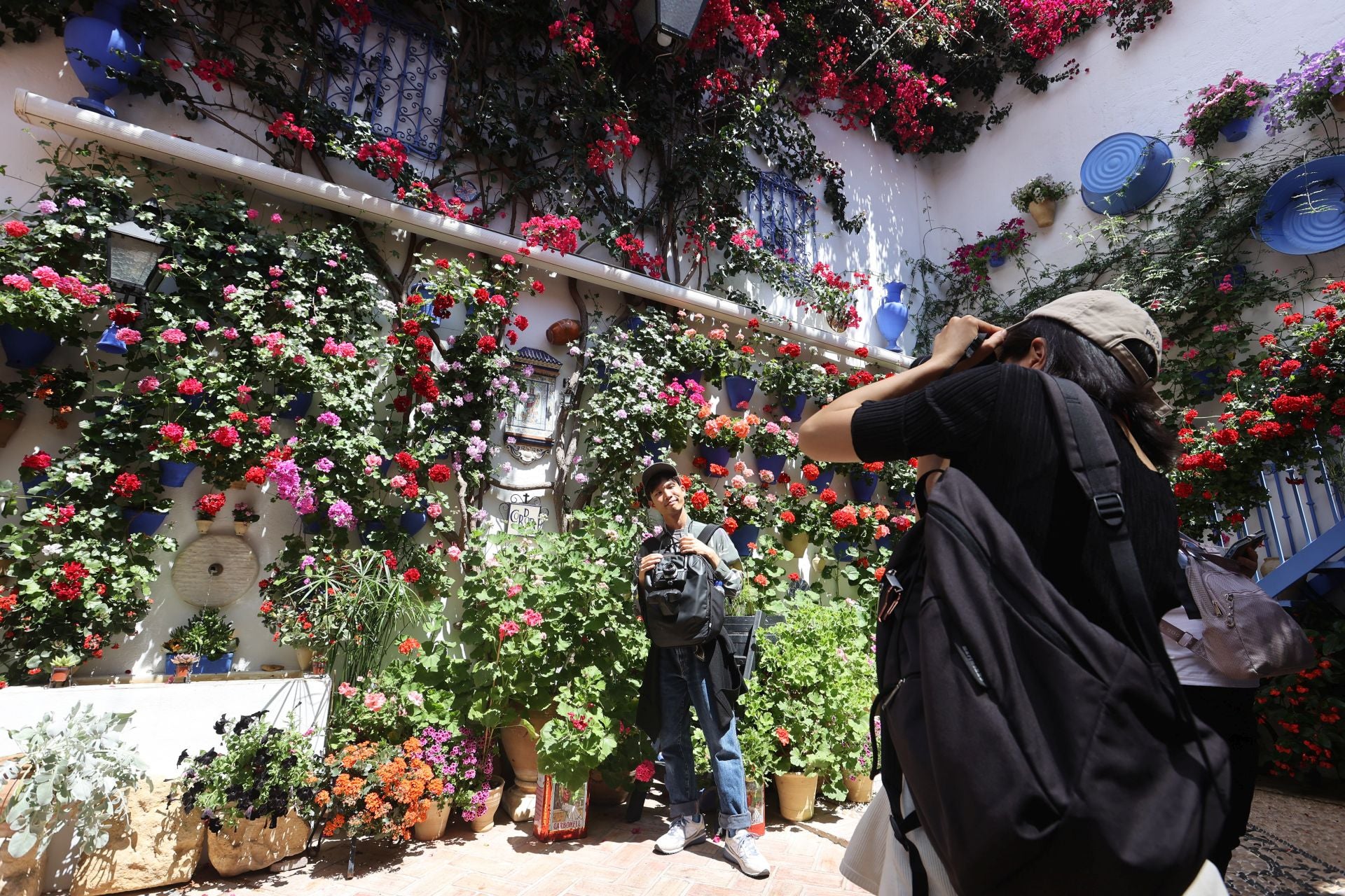 Un paseo por los patios más clásicos de Córdoba, en imágenes