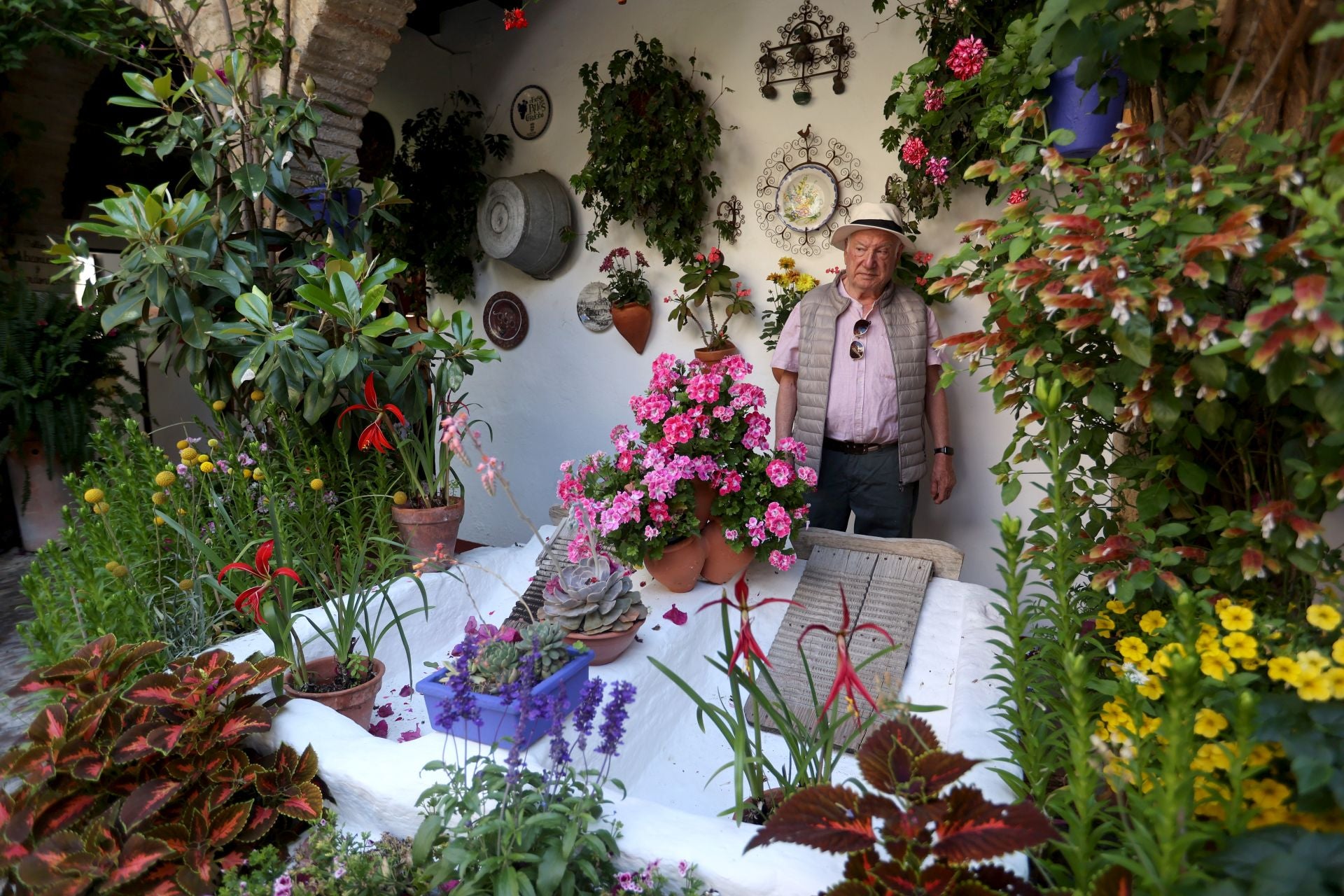 Un paseo por los patios más clásicos de Córdoba, en imágenes